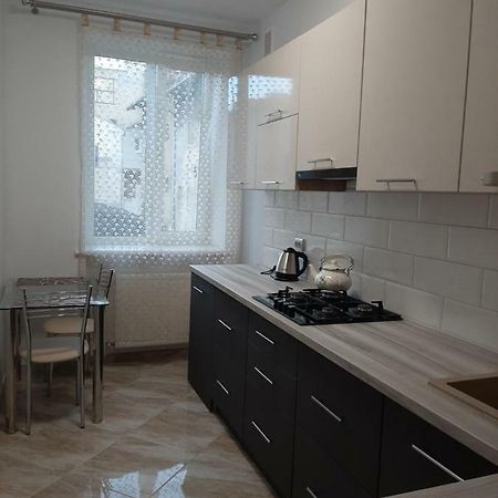 Apartment In Serbska 利沃夫 外观 照片