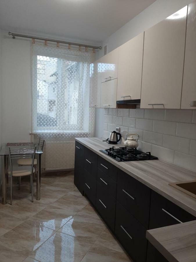 Apartment In Serbska 利沃夫 外观 照片