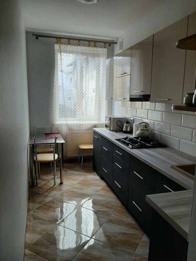 Apartment In Serbska 利沃夫 外观 照片